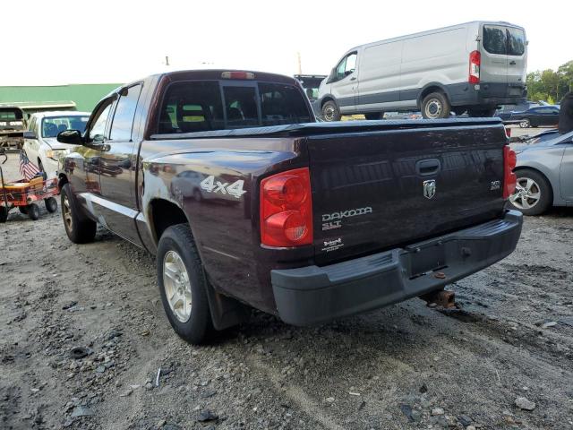 1D7HW48N15S320261 - 2005 DODGE DAKOTA QUA BROWN photo 3