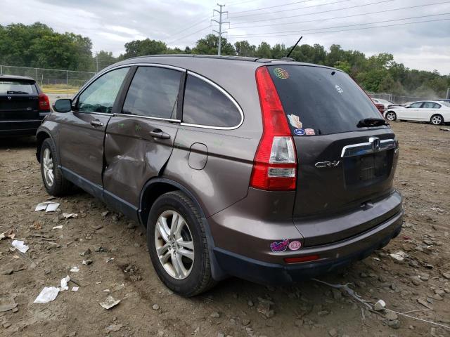 5J6RE4H71AL066245 - 2010 HONDA CR-V EXL BROWN photo 3