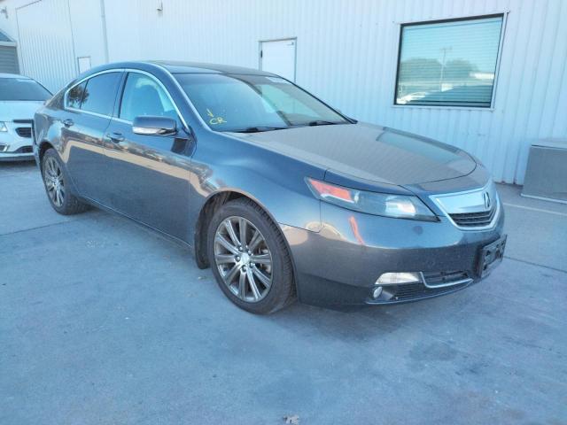 19UUA8F3XDA018358 - 2013 ACURA TL SE GRAY photo 1