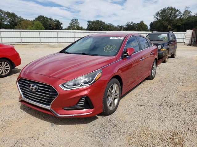 5NPE34AF7JH617309 - 2018 HYUNDAI SONATA SPO RED photo 2