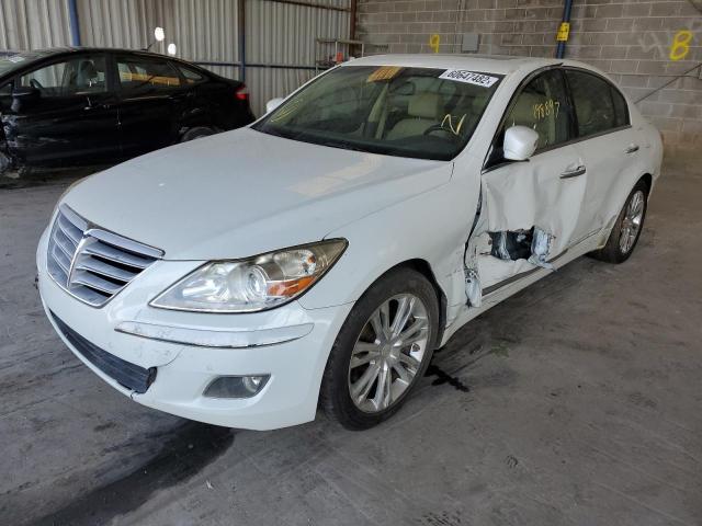 KMHGC46F89U040451 - 2009 HYUNDAI GENESIS 4.6L  photo 2