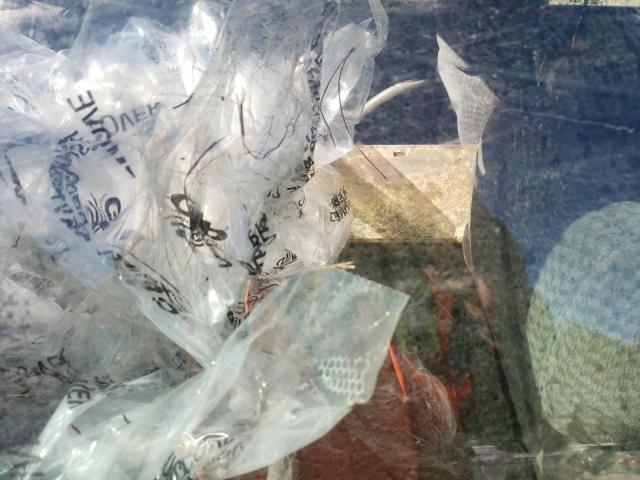 1G2NF52F22C279007 - 2002 PONTIAC GRAND AM S SILVER photo 6