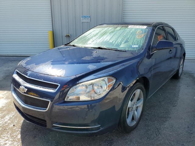 1G1ZC5E16BF128636 - 2011 CHEVROLET MALIBU 1LT ლურჯი ფოტო 2