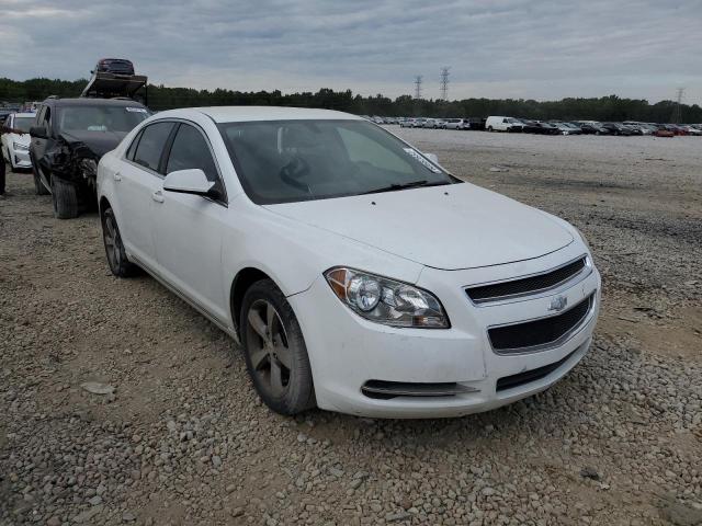1G1ZC5EU4BF371582 - 2011 CHEVROLET MALIBU 1LT 白色 照片 1