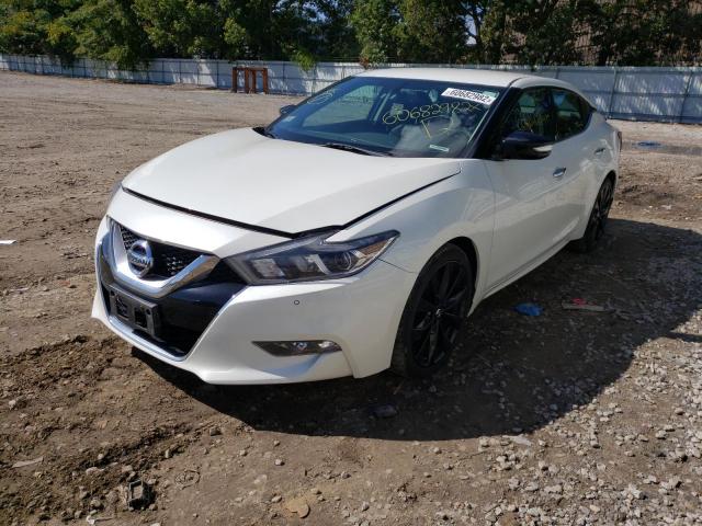 1N4AA6AP5HC417209 - 2017 NISSAN MAXIMA 3.5 WHITE photo 2