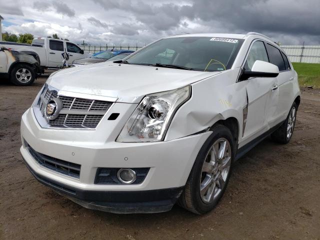 3GYFNEEY0BS508840 - 2011 CADILLAC SRX PERFOR 白色 照片 2