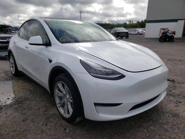 5YJYGDEE2MF074876 - 2021 TESLA MODEL Y Blanc photo 1