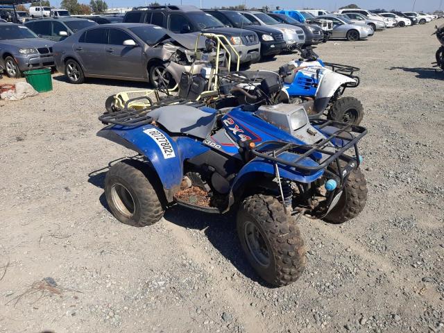 2533823 - 1995 POLA 4 WHEELER TWO TONE photo 1