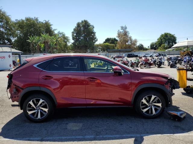 JTJYARBZ9K2132369 - 2019 LEXUS NX 300 BAS 红色 照片 9
