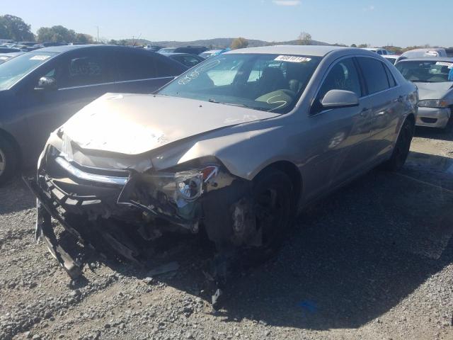 1G1ZH57B19F181181 - 2009 CHEVROLET MALIBU 1LT 米色 照片 2