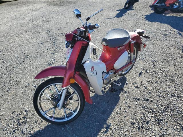 MLHJA4851M5200044 - 2021 HONDA C125 A TWO TONE photo 2