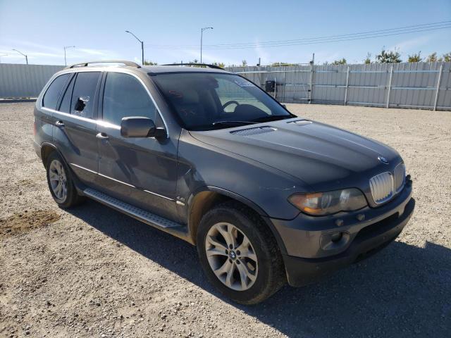 5UXFB53526LV23728 - 2006 BMW X5 4.4I GRAY photo 1