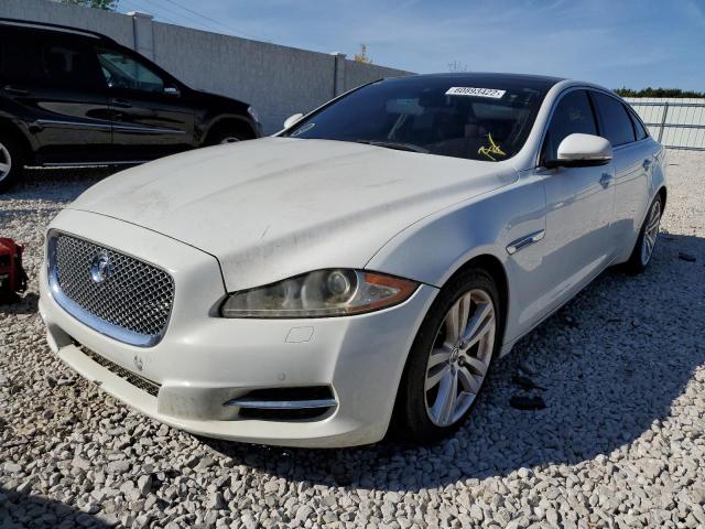 SAJWA2GB7BLV09533 - 2011 JAGUAR XJL WHITE photo 2