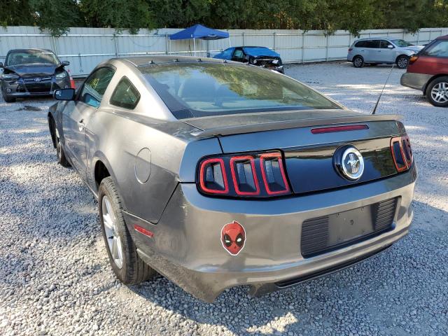 1ZVBP8AM2E5319797 - 2014 FORD MUSTANG GRAY photo 3