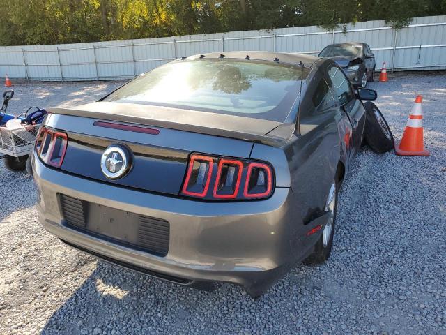 1ZVBP8AM2E5319797 - 2014 FORD MUSTANG GRAY photo 4