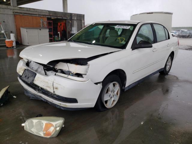 1G1ZT52875F254784 - 2005 CHEVROLET MALIBU LS WHITE photo 2