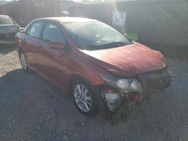 1NXBU4EEXAZ368359 - 2010 TOYOTA COROLLA BASE  photo 1