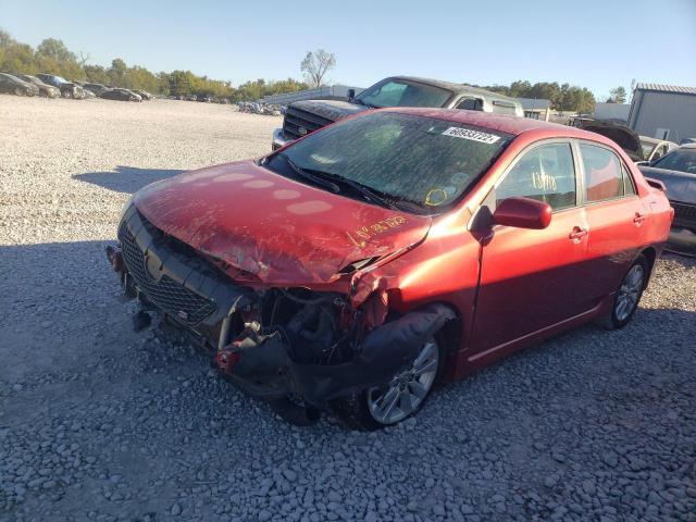 1NXBU4EEXAZ368359 - 2010 TOYOTA COROLLA BASE  photo 2