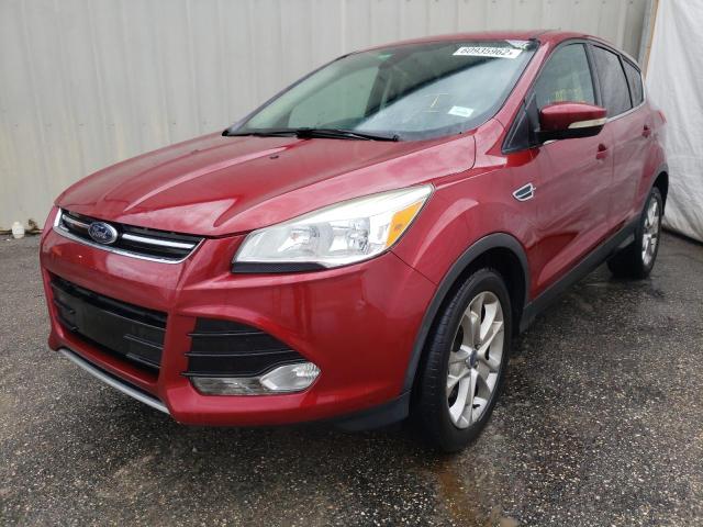 1FMCU0H96DUA30828 - 2013 FORD ESCAPE SEL RED photo 2