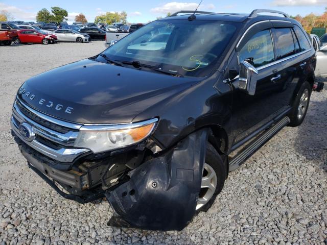 2FMDK3JCXBBA76599 - 2011 FORD EDGE SEL BROWN photo 2