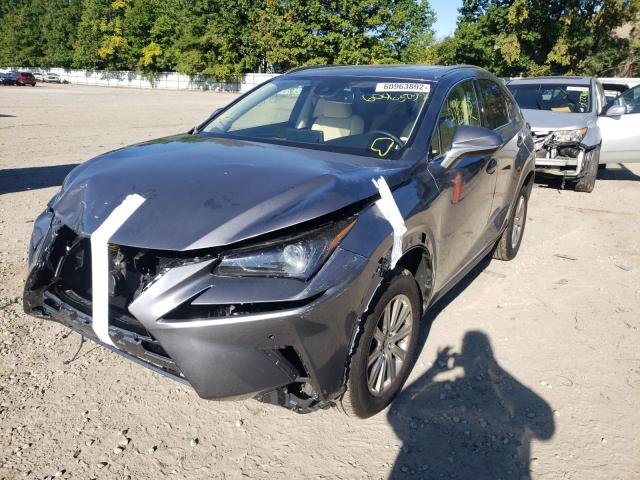 JTJDARDZ7M2261256 - 2021 LEXUS NX 300 BAS GRAY photo 2