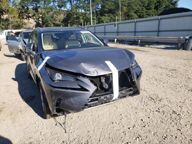 JTJDARDZ7M2261256 - 2021 LEXUS NX 300 BAS 灰色 照片 9