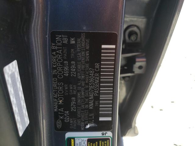 KNALN4D71E5160487 - 2014 KIA CADENZA PR GRAY photo 10