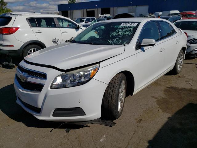 1G11D5SR9DF292339 - 2013 CHEVROLET MALIBU 1LT 白色 照片 2