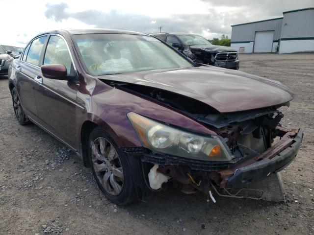 1HGCP26878A****** - 2008 HONDA ACCORD EXL MAROON photo 1