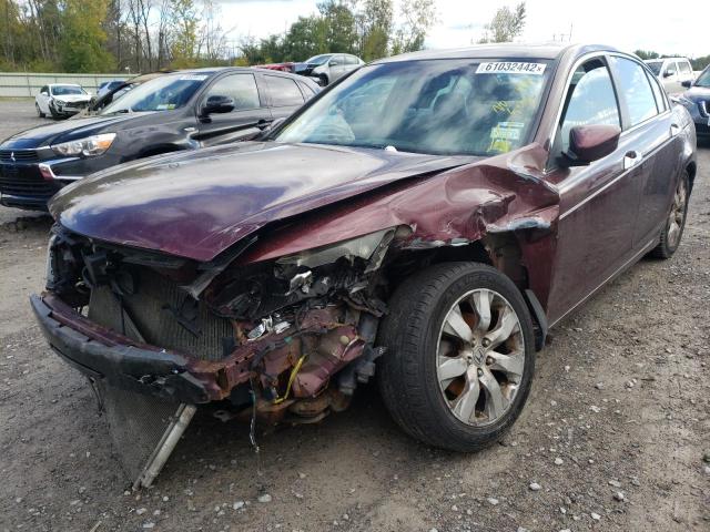 1HGCP26878A****** - 2008 HONDA ACCORD EXL MAROON photo 2