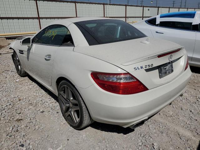 WDDPK4HA4DF060482 - 2013 MERCEDES-BENZ SLK 250 WHITE photo 3