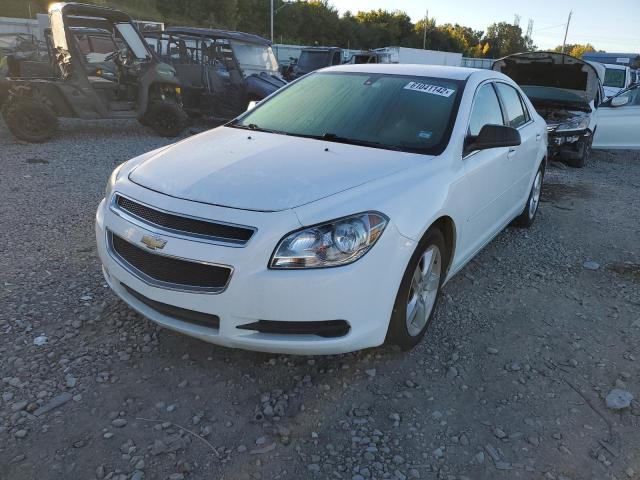 1G1ZB5EB8AF314933 - 2010 CHEVROLET MALIBU LS WHITE photo 2