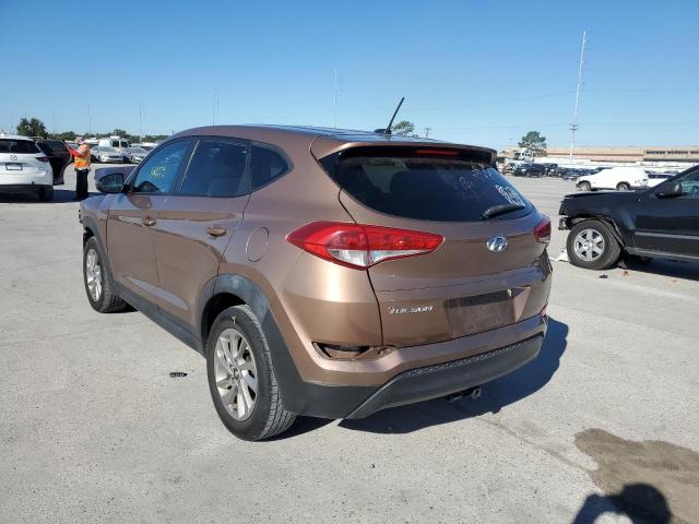 KM8J23A47GU101732 - 2016 HYUNDAI TUCSON SE BROWN photo 3