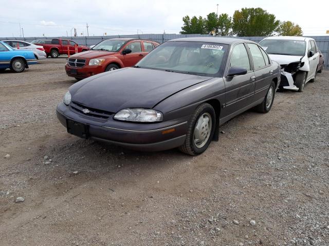 2G1WN52M1S1154144 - 1995 CHEVROLET LUMINA LS PURPLE photo 2