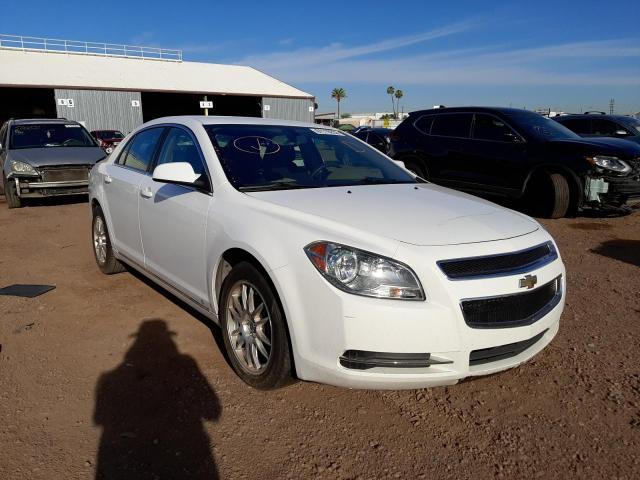1G1ZC5EB8A4120976 - 2010 CHEVROLET MALIBU 1LT 白色 照片 1