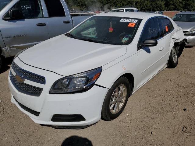 1G11A5SA9DF267167 - 2013 CHEVROLET MALIBU LS WHITE photo 2