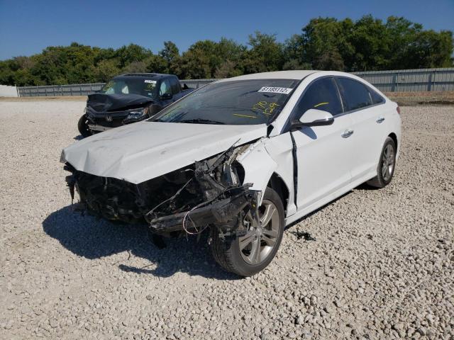 5NPE34AF0KH770129 - 2019 HYUNDAI SONATA LIM WHITE photo 2