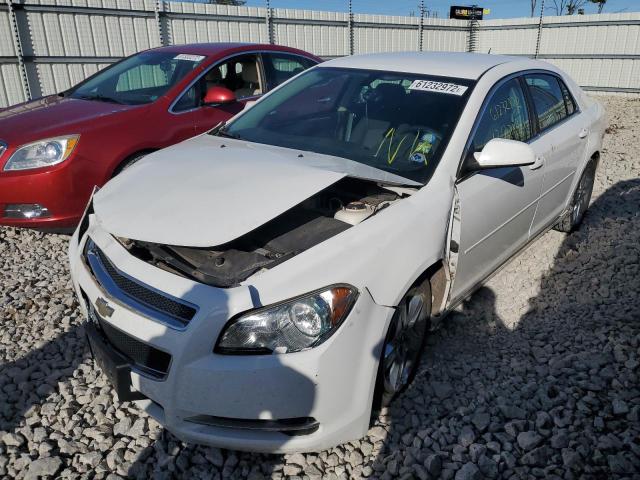 1G1ZH57N494217516 - 2009 CHEVROLET MALIBU 1LT 白色 照片 2