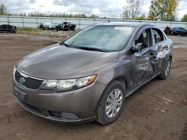 KNAFU4A22D5685534 - 2013 KIA FORTE EX BROWN photo 2