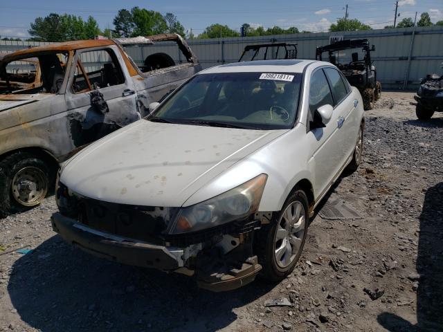 1HGCP36829A047966 - 2009 HONDA ACCORD EXL WHITE photo 2