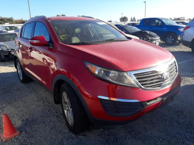 KNDPB3A26D7540248 - 2013 KIA SPORTAGE B RED photo 1