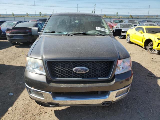 1FTPX14575NA38308 - 2005 FORD F150 GRAY photo 5