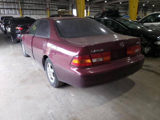 JT8BF28G3W5032570 - 1998 LEXUS ES 300 BURGUNDY photo 3