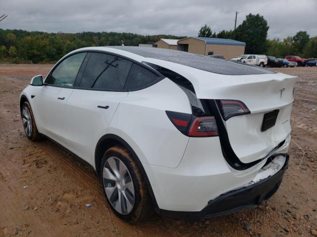 7SAYGDEE0NF419228 - 2022 TESLA MODEL Y أبيض صورة 3