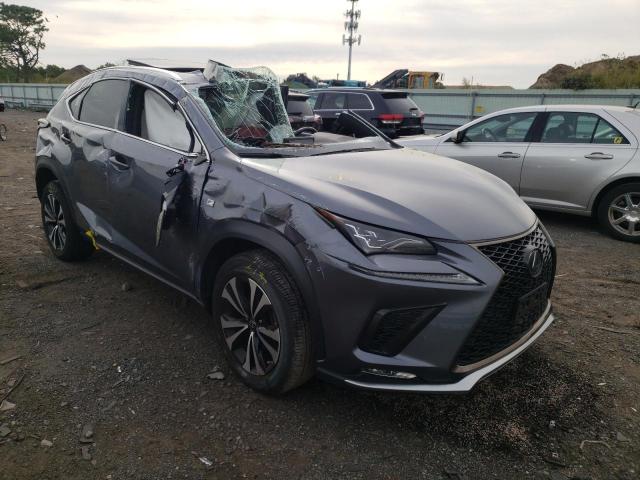 JTJSARDZ0M2251658 - 2021 LEXUS NX 300 BAS GRAY photo 1