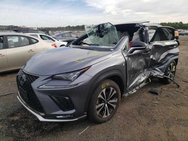 JTJSARDZ0M2251658 - 2021 LEXUS NX 300 BAS GRAY photo 2