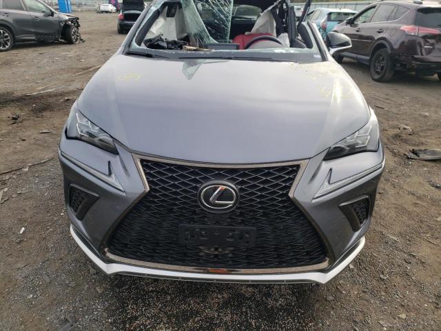 JTJSARDZ0M2251658 - 2021 LEXUS NX 300 BAS GRAY photo 7