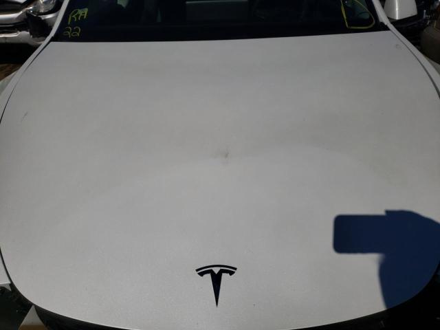 5YJYGDEE9LF014284 - 2020 TESLA MODEL Y أبيض صورة 7