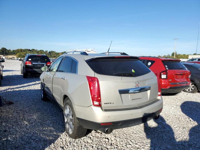 3GYFNEEY3BS572063 - 2011 CADILLAC SRX PERFOR 金色 照片 3