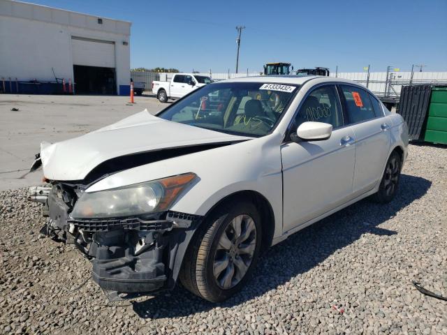 1HGCP36858A039794 - 2008 HONDA ACCORD EXL WHITE photo 2